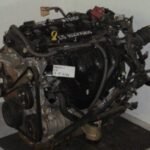 13154ENG